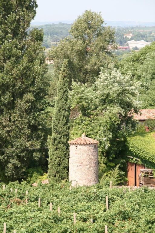 Agriturismo Corte Marzago 살리온제 외부 사진