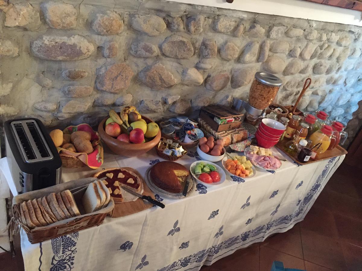 Agriturismo Corte Marzago 살리온제 외부 사진
